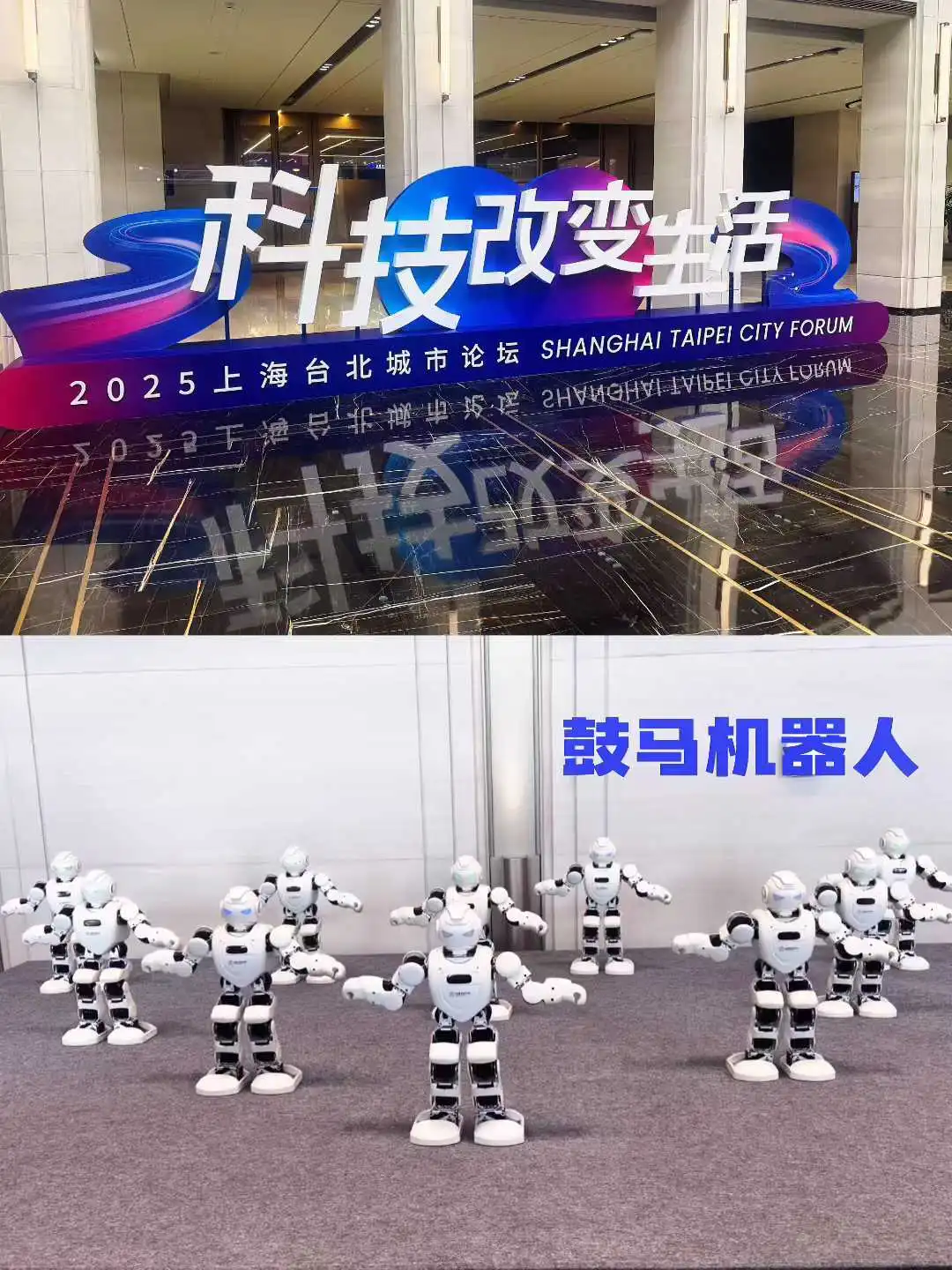 鼓马机器人 “智联双城”：2025 沪台论坛上的两岸科技 “新纽带”